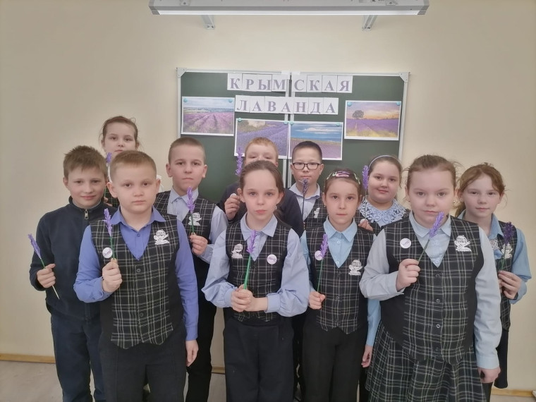 Мастер-класс "Крымская лаванда".